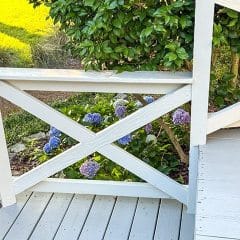 Garden_PurpleHydrangeas
