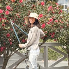 Maria-Gardening